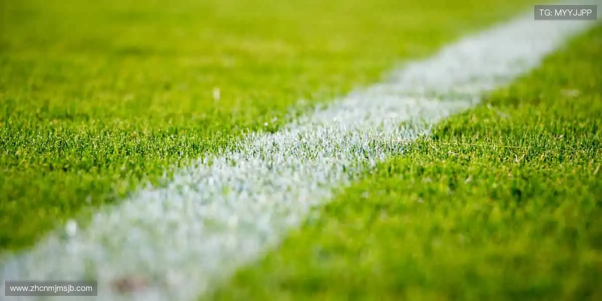 全球体育捕鱼天堂:赛事海洋千炮投注,爆分永不停